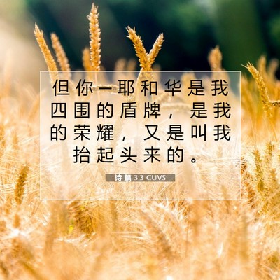 Picture 07 - 诗 篇 3:3 CUVS - 但 你 ─ 耶 和 华 是 我 四 围 的 盾 - Bible Verse Picture
