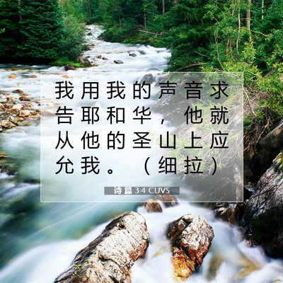 Picture 07 - 诗 篇 3:4 CUVS - 我 用 我 的 声 音 求 告 耶 和 华 ， - Bible Verse Picture