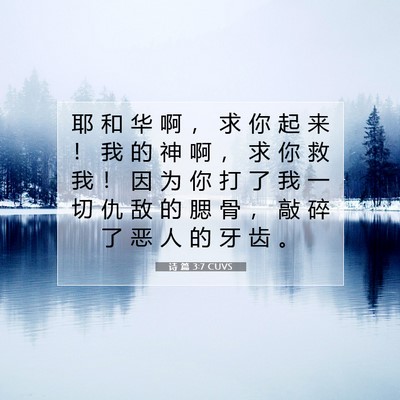 Picture 07 - 诗 篇 3:7 CUVS - 耶 和 华 啊 ， 求 你 起 来 ！ 我 的 - Bible Verse Picture