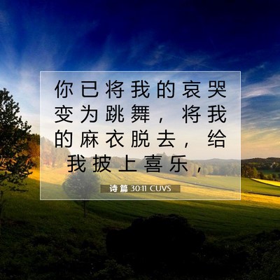 Picture 07 - 诗 篇 30:11 CUVS - 你 已 将 我 的 哀 哭 变 为 跳 舞 ， - Bible Verse Picture