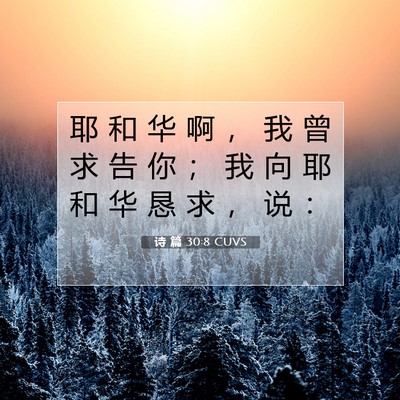 Picture 07 - 诗 篇 30:8 CUVS - 耶 和 华 啊 ， 我 曾 求 告 你 ； 我 - Bible Verse Picture