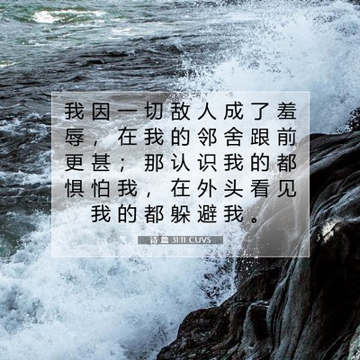 Picture 07 - 诗 篇 31:11 CUVS - 我 因 一 切 敌 人 成 了 羞 辱 ， 在 - Bible Verse Picture