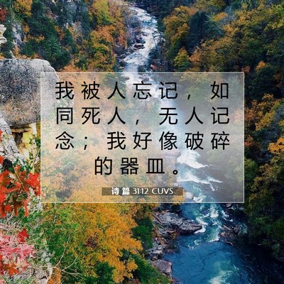 Picture 07 - 诗 篇 31:12 CUVS - 我 被 人 忘 记 ， 如 同 死 人 ， 无 - Bible Verse Picture