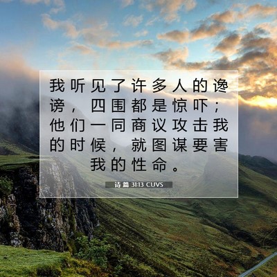 Picture 07 - 诗 篇 31:13 CUVS - 我 听 见 了 许 多 人 的 谗 谤 ， 四 - Bible Verse Picture