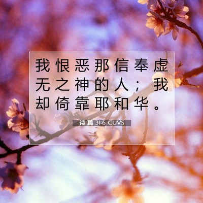 Picture 07 - 诗 篇 31:6 CUVS - 我 恨 恶 那 信 奉 虚 无 之 神 的 人 - Bible Verse Picture