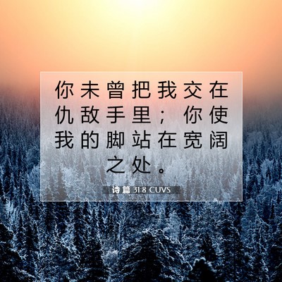 Picture 07 - 诗 篇 31:8 CUVS - 你 未 曾 把 我 交 在 仇 敌 手 里 ； - Bible Verse Picture