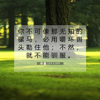 Picture 07 - 诗 篇 32:9 CUVS - 你 不 可 像 那 无 知 的 骡 马 ， 必 - Bible Verse Picture