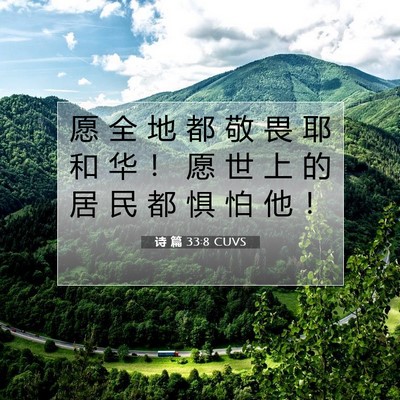 Picture 07 - 诗 篇 33:8 CUVS - 愿 全 地 都 敬 畏 耶 和 华 ！ 愿 世 - Bible Verse Picture