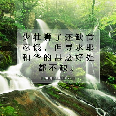 Picture 07 - 诗 篇 34:10 CUVS - 少 壮 狮 子 还 缺 食 忍 饿 ， 但 寻 - Bible Verse Picture