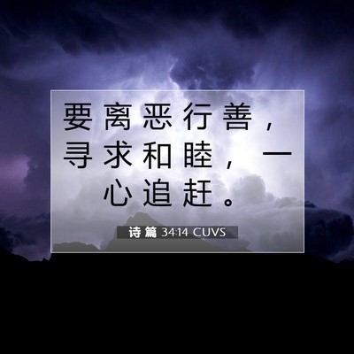 Picture 07 - 诗 篇 34:14 CUVS - 要 离 恶 行 善 ， 寻 求 和 睦 ， 一 - Bible Verse Picture
