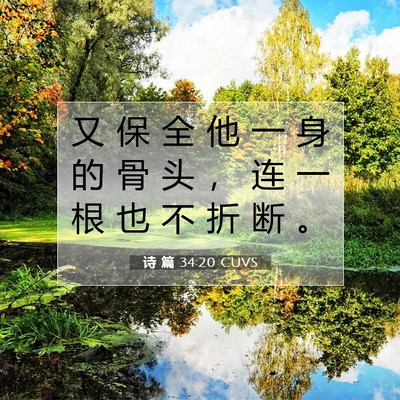 Picture 07 - 诗 篇 34:20 CUVS - 又 保 全 他 一 身 的 骨 头 ， 连 一 - Bible Verse Picture