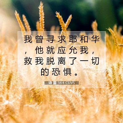 Picture 07 - 诗 篇 34:4 CUVS - 我 曾 寻 求 耶 和 华 ， 他 就 应 允 - Bible Verse Picture