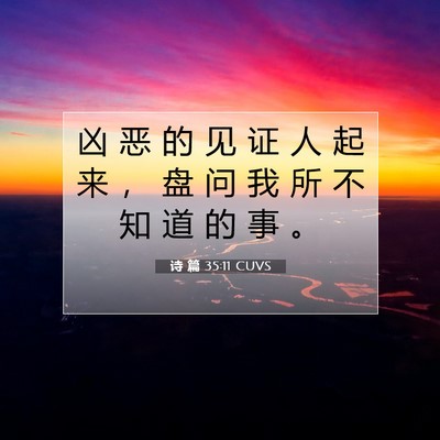 Picture 07 - 诗 篇 35:11 CUVS - 凶 恶 的 见 证 人 起 来 ， 盘 问 我 - Bible Verse Picture