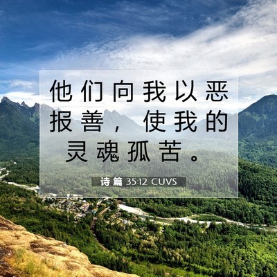 Picture 07 - 诗 篇 35:12 CUVS - 他 们 向 我 以 恶 报 善 ， 使 我 的 - Bible Verse Picture
