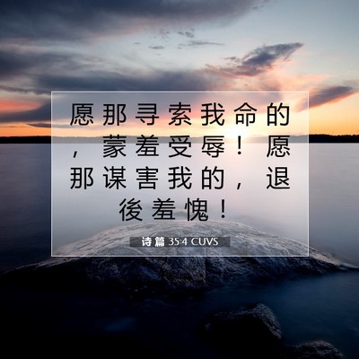 Picture 07 - 诗 篇 35:4 CUVS - 愿 那 寻 索 我 命 的 ， 蒙 羞 受 辱 - Bible Verse Picture