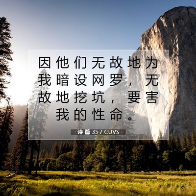 Picture 07 - 诗 篇 35:7 CUVS - 因 他 们 无 故 地 为 我 暗 设 网 罗 - Bible Verse Picture