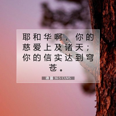 Picture 07 - 诗 篇 36:5 CUVS - 耶 和 华 啊 ， 你 的 慈 爱 上 及 诸 - Bible Verse Picture