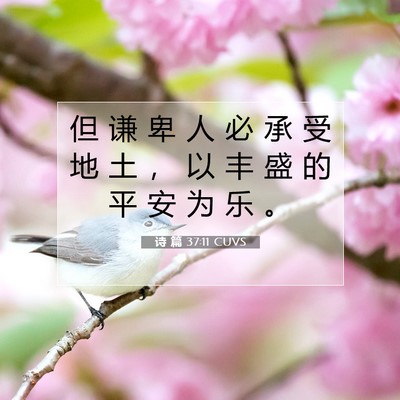 Picture 07 - 诗 篇 37:11 CUVS - 但 谦 卑 人 必 承 受 地 土 ， 以 丰 - Bible Verse Picture