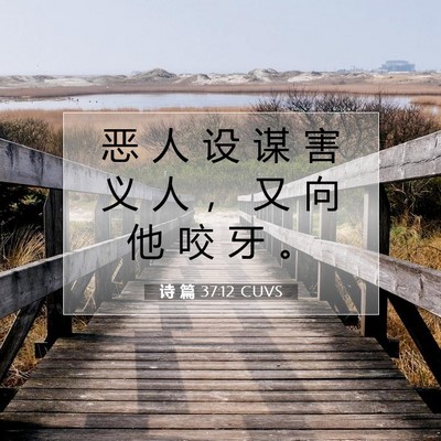 Picture 07 - 诗 篇 37:12 CUVS - 恶 人 设 谋 害 义 人 ， 又 向 他 咬 - Bible Verse Picture