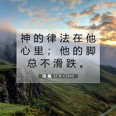 Picture 07 - 诗 篇 37:31 CUVS - 神 的 律 法 在 他 心 里 ； 他 的 脚 - Bible Verse Picture