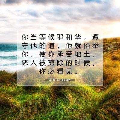 Picture 07 - 诗 篇 37:34 CUVS - 你 当 等 候 耶 和 华 ， 遵 守 他 的 - Bible Verse Picture