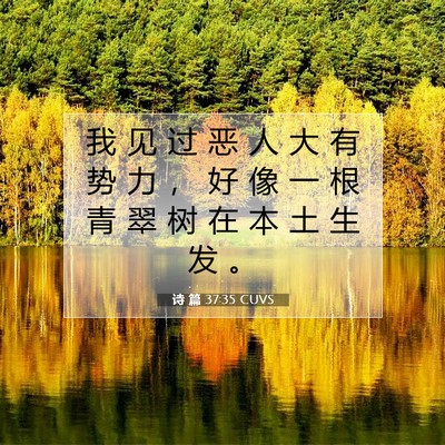 Picture 07 - 诗 篇 37:35 CUVS - 我 见 过 恶 人 大 有 势 力 ， 好 像 - Bible Verse Picture