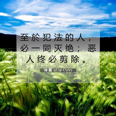Picture 07 - 诗 篇 37:38 CUVS - 至 於 犯 法 的 人 ， 必 一 同 灭 绝 - Bible Verse Picture