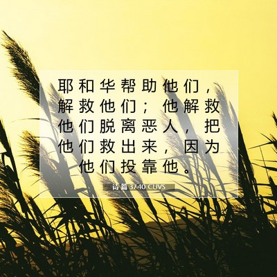 Picture 07 - 诗 篇 37:40 CUVS - 耶 和 华 帮 助 他 们 ， 解 救 他 们 - Bible Verse Picture