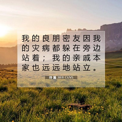 Picture 07 - 诗 篇 38:11 CUVS - 我 的 良 朋 密 友 因 我 的 灾 病 都 - Bible Verse Picture
