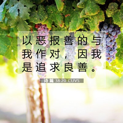 Picture 07 - 诗 篇 38:20 CUVS - 以 恶 报 善 的 与 我 作 对 ， 因 我 - Bible Verse Picture