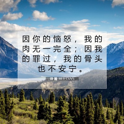Picture 07 - 诗 篇 38:3 CUVS - 因 你 的 恼 怒 ， 我 的 肉 无 一 完 - Bible Verse Picture