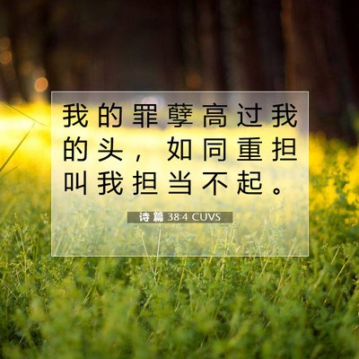 Picture 07 - 诗 篇 38:4 CUVS - 我 的 罪 孽 高 过 我 的 头 ， 如 同 - Bible Verse Picture
