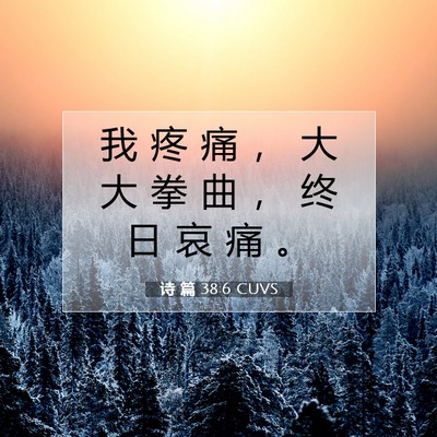 Picture 07 - 诗 篇 38:6 CUVS - 我 疼 痛 ， 大 大 拳 曲 ， 终 日 哀 - Bible Verse Picture