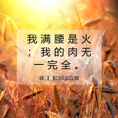 Picture 07 - 诗 篇 38:7 CUVS - 我 满 腰 是 火 ； 我 的 肉 无 一 完 - Bible Verse Picture