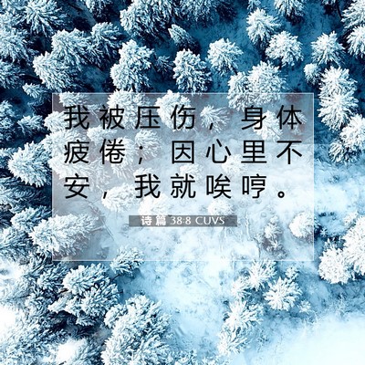 Picture 07 - 诗 篇 38:8 CUVS - 我 被 压 伤 ， 身 体 疲 倦 ； 因 心 - Bible Verse Picture
