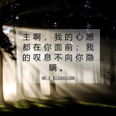 Picture 07 - 诗 篇 38:9 CUVS - 主 啊 ， 我 的 心 愿 都 在 你 面 前 - Bible Verse Picture