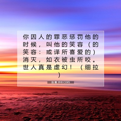 Picture 07 - 诗 篇 39:11 CUVS - 你 因 人 的 罪 恶 惩 罚 他 的 时 候 - Bible Verse Picture