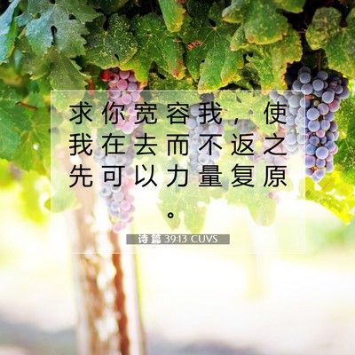Picture 07 - 诗 篇 39:13 CUVS - 求 你 宽 容 我 ， 使 我 在 去 而 不 - Bible Verse Picture