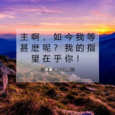 Picture 07 - 诗 篇 39:7 CUVS - 主 啊 ， 如 今 我 等 甚 麽 呢 ？ 我 - Bible Verse Picture