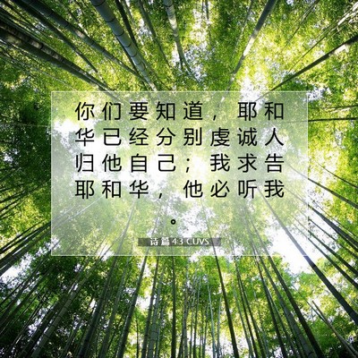 Picture 07 - 诗 篇 4:3 CUVS - 你 们 要 知 道 ， 耶 和 华 已 经 分 - Bible Verse Picture