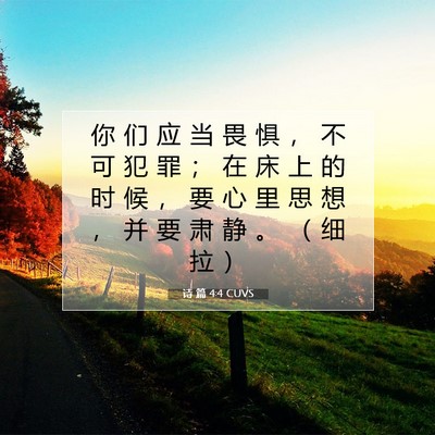 Picture 07 - 诗 篇 4:4 CUVS - 你 们 应 当 畏 惧 ， 不 可 犯 罪 ； - Bible Verse Picture