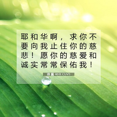 Picture 07 - 诗 篇 40:11 CUVS - 耶 和 华 啊 ， 求 你 不 要 向 我 止 - Bible Verse Picture