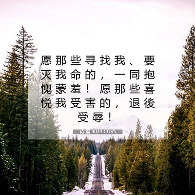 Picture 07 - 诗 篇 40:14 CUVS - 愿 那 些 寻 找 我 、 要 灭 我 命 的 - Bible Verse Picture