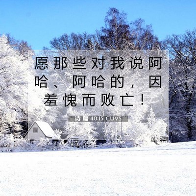 Picture 07 - 诗 篇 40:15 CUVS - 愿 那 些 对 我 说 阿 哈 、 阿 哈 的 - Bible Verse Picture