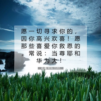 Picture 07 - 诗 篇 40:16 CUVS - 愿 一 切 寻 求 你 的 ， 因 你 高 兴 - Bible Verse Picture