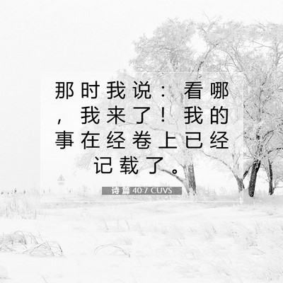 Picture 07 - 诗 篇 40:7 CUVS - 那 时 我 说 ： 看 哪 ， 我 来 了 ！ - Bible Verse Picture