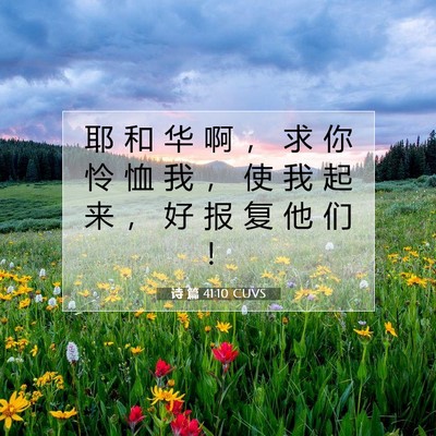 Picture 07 - 诗 篇 41:10 CUVS - 耶 和 华 啊 ， 求 你 怜 恤 我 ， 使 - Bible Verse Picture
