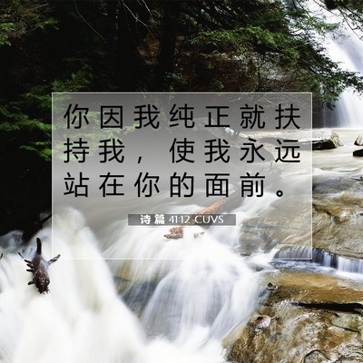 Picture 07 - 诗 篇 41:12 CUVS - 你 因 我 纯 正 就 扶 持 我 ， 使 我 - Bible Verse Picture