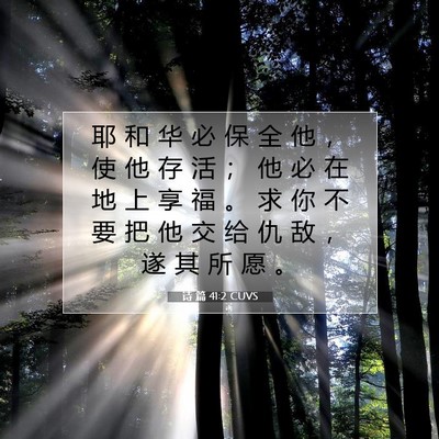 Picture 07 - 诗 篇 41:2 CUVS - 耶 和 华 必 保 全 他 ， 使 他 存 活 - Bible Verse Picture