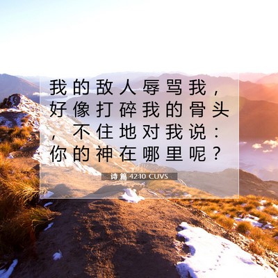 Picture 07 - 诗 篇 42:10 CUVS - 我 的 敌 人 辱 骂 我 ， 好 像 打 碎 - Bible Verse Picture